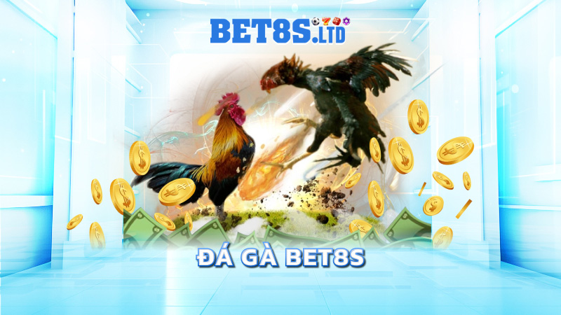 Đá gà BET8S