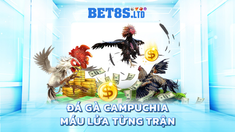 Đá gà Campuchia – máu lửa từng trận