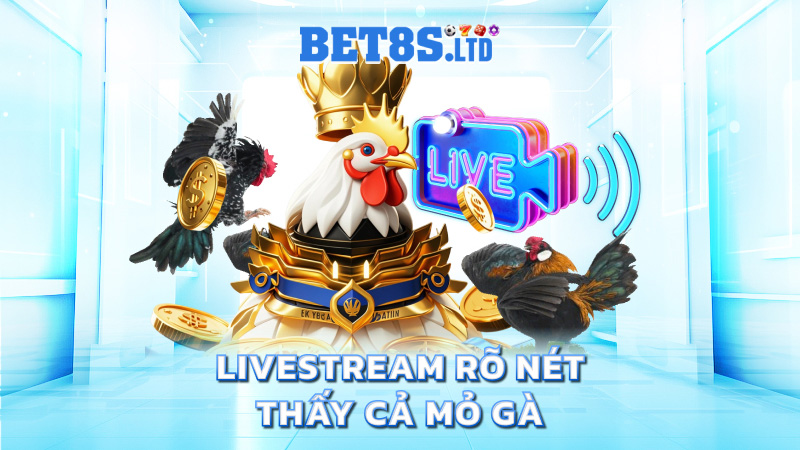 Livestream rõ nét – thấy cả mỏ gà