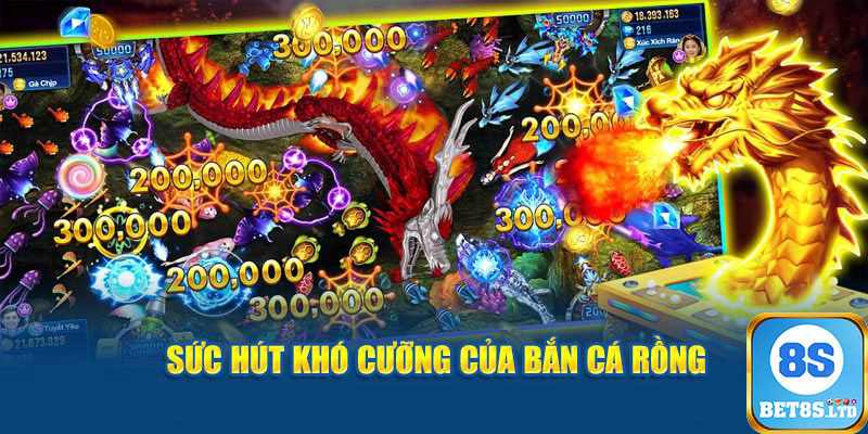 bet8s bắn cá